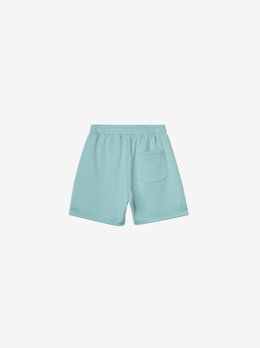 APLUS DMINUS “Bermuda Series” Shorts